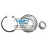 LOŽISKO KOLESA ZADNÉ FIAT DUCATO 01-06, CITROEN JUMPER 01-06, PEUGEOT BOXER 01-06 71753818
